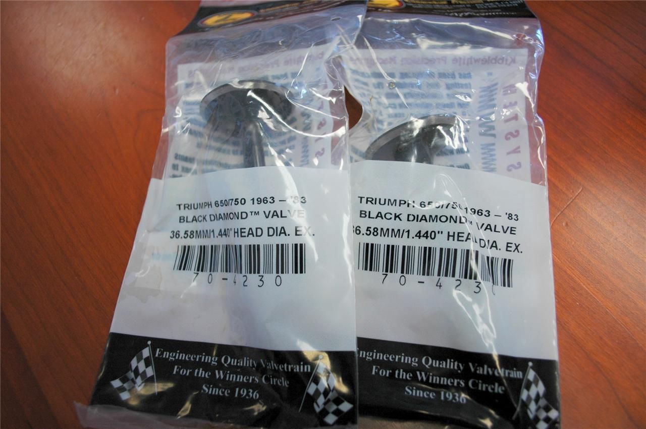 Triumph exhaust valves