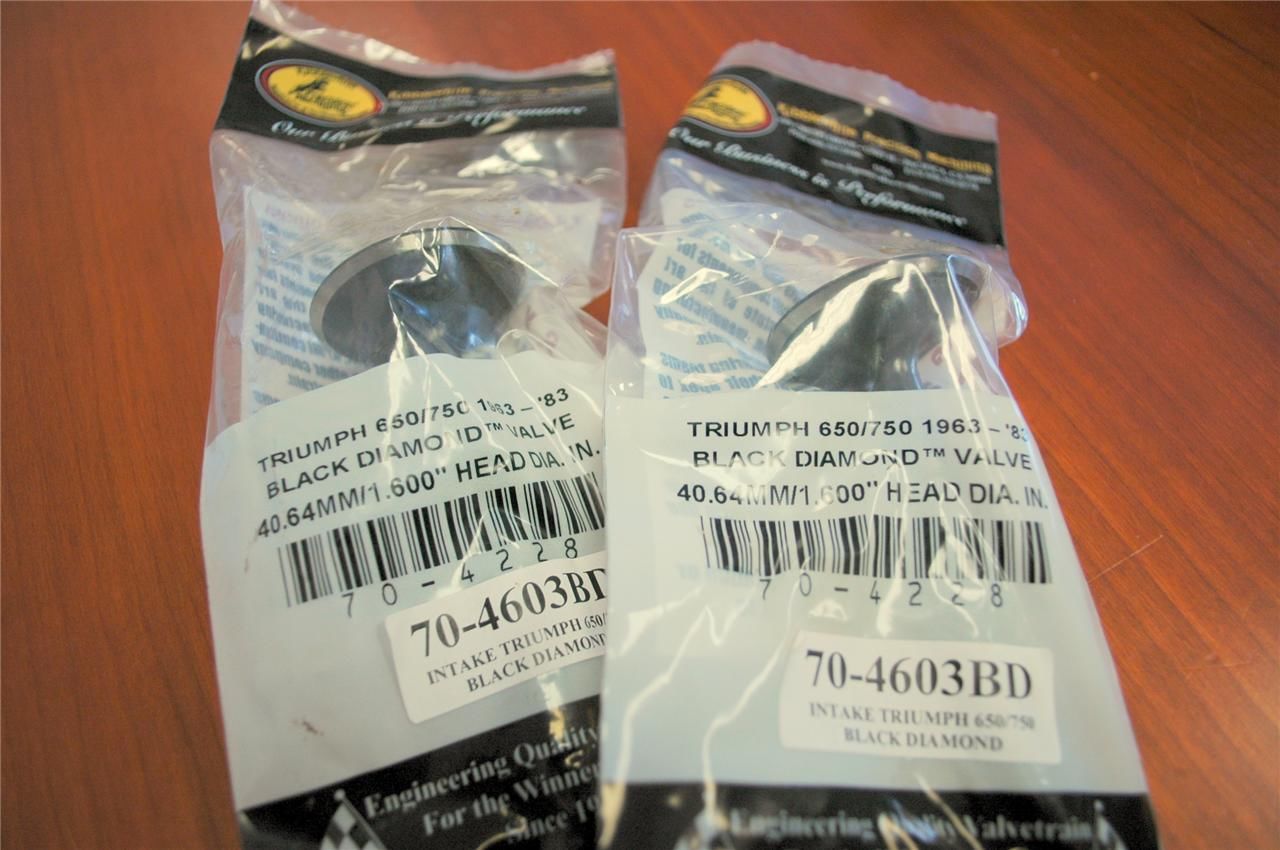 Triumph Intake valves